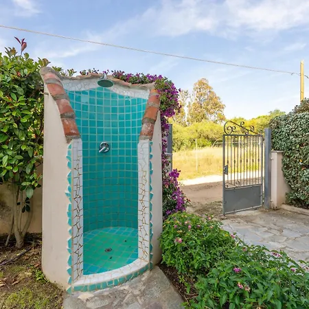 Mango Apartment
